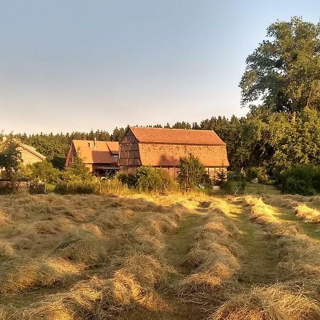 Ziegeleihof Inmitten Von Wiesen Und Waeldern Degenershausen Extérieur photo