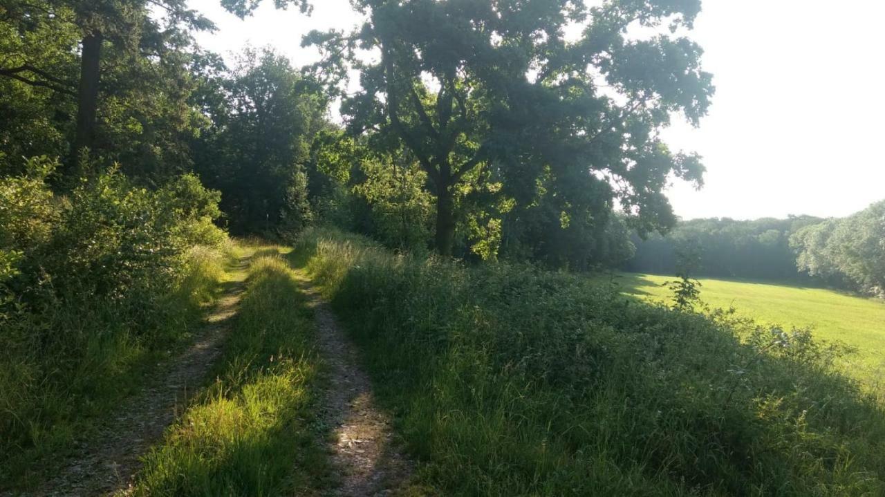 Ziegeleihof Inmitten Von Wiesen Und Waeldern Degenershausen Extérieur photo