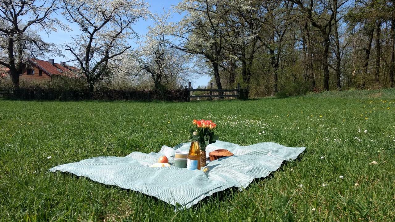 Ziegeleihof Inmitten Von Wiesen Und Waeldern Degenershausen Extérieur photo
