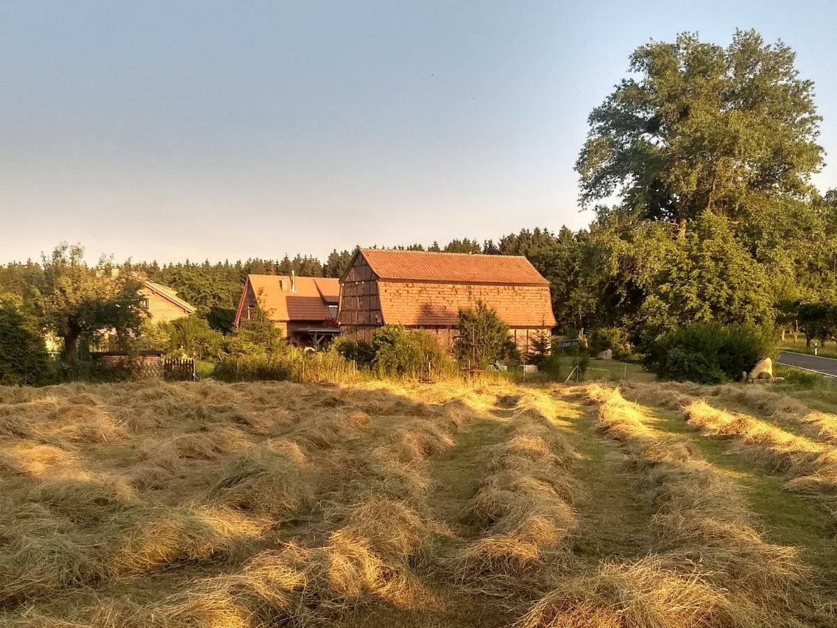 Ziegeleihof Inmitten Von Wiesen Und Waeldern Degenershausen Extérieur photo